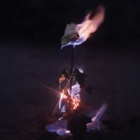 FarWarmth - Momentary Glow