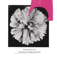 Paraguaii - Dreams About the Things You Never Do