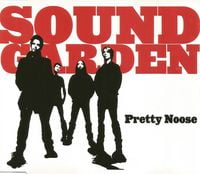 Soundgarden - Pretty Noose