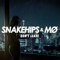 Snakehips - Don't Leave