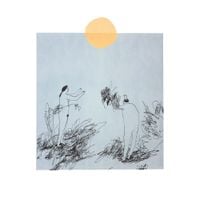 Trace Mountains - Lost in the Country