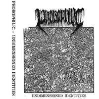 Phobophilic - Undimensioned Identities