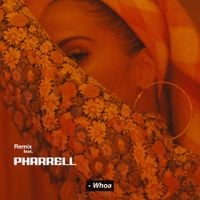 Snoh Aalegra - Whoa (Remix)