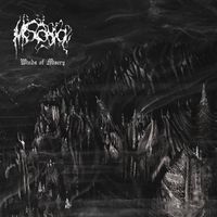 Mistcavern - Winds of Misery