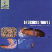 Transient Waves - Wading & Waiting