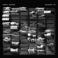 James Shinra - Reverie EP