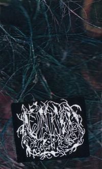 Emeralds - Allegory of Allergies