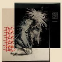 Survive Said The Prophet - Red