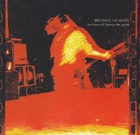 Birchville Cat Motel - Our Love Will Destroy the World