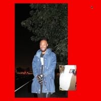 JPEGMAFIA - BALD!