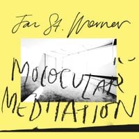 Jan St. Werner - Molocular Meditation