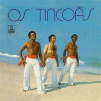 Os Tinco&atilde;s - Os Tinco&atilde;s