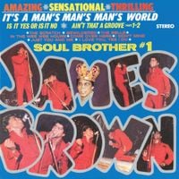 James Brown - It's A Man's Man's Man's World