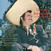 Vicente Fernández - &iexcl;Arriba Huentit&agrave;n!