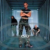 Skunk Anansie - Paranoid and Sunburnt