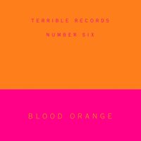 Blood Orange - Dinner