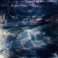 Indoor Voices - Animal