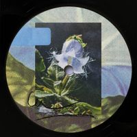 Softcoresoft - Otherworlds