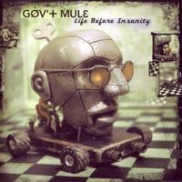 Gov't Mule - Life Before Insanity
