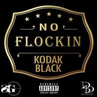 Kodak Black - No Flockin'