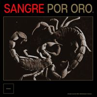 Developer - Sangre Por Oro