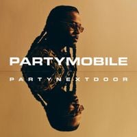 PARTYNEXTDOOR - SPLIT DECISION