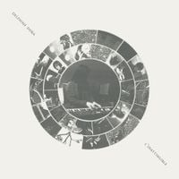 Delphine Dora - L'inattingible