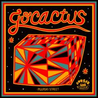 Go Cactus - Pulaski Street