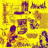 Gabber Modus Operandi - Puxxximaxxx