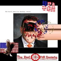 RINGEX PLASTER - 2​.​1: The North american Manbaby Center