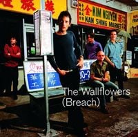 The Wallflowers - (Breach)