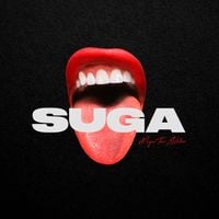 Megan Thee Stallion - Suga