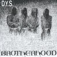 D.Y.S. - Brotherhood