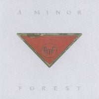 A Minor Forest - Inindependence