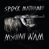 Spoek Mathambo - Mshini Wam