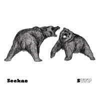 Seekae - Sound of Trees Falling on People
