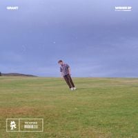 Grant - Wishes