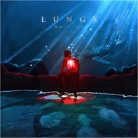 Matt Van - Lungs