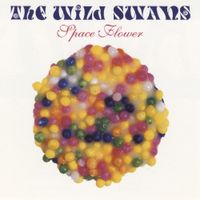 The Wild Swans - Space Flower