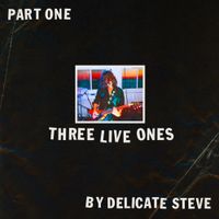 Delicate Steve - Three Lives Ones