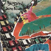 Bugseed - Some Foods