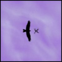 IRBIS - Un altro cielo