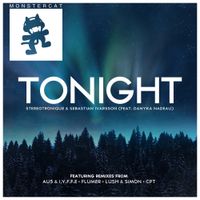 Stereotronique - Tonight (Remixes)