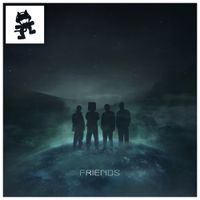 Mr FijiWiji - Friends