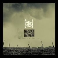 Negură Bunget - 'n crugu bradului