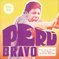 Various Artists - Peru Bravo: Funk, Soul & Psych from Peru's Radical Decade