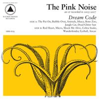 The Pink Noise - Dream Code