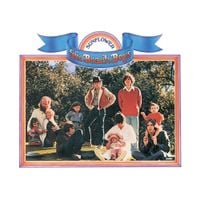 The Beach Boys - Sunflower