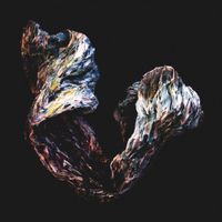 Kauf - Regrowth