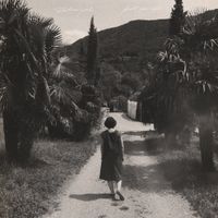 Zelienople - Hold You Up